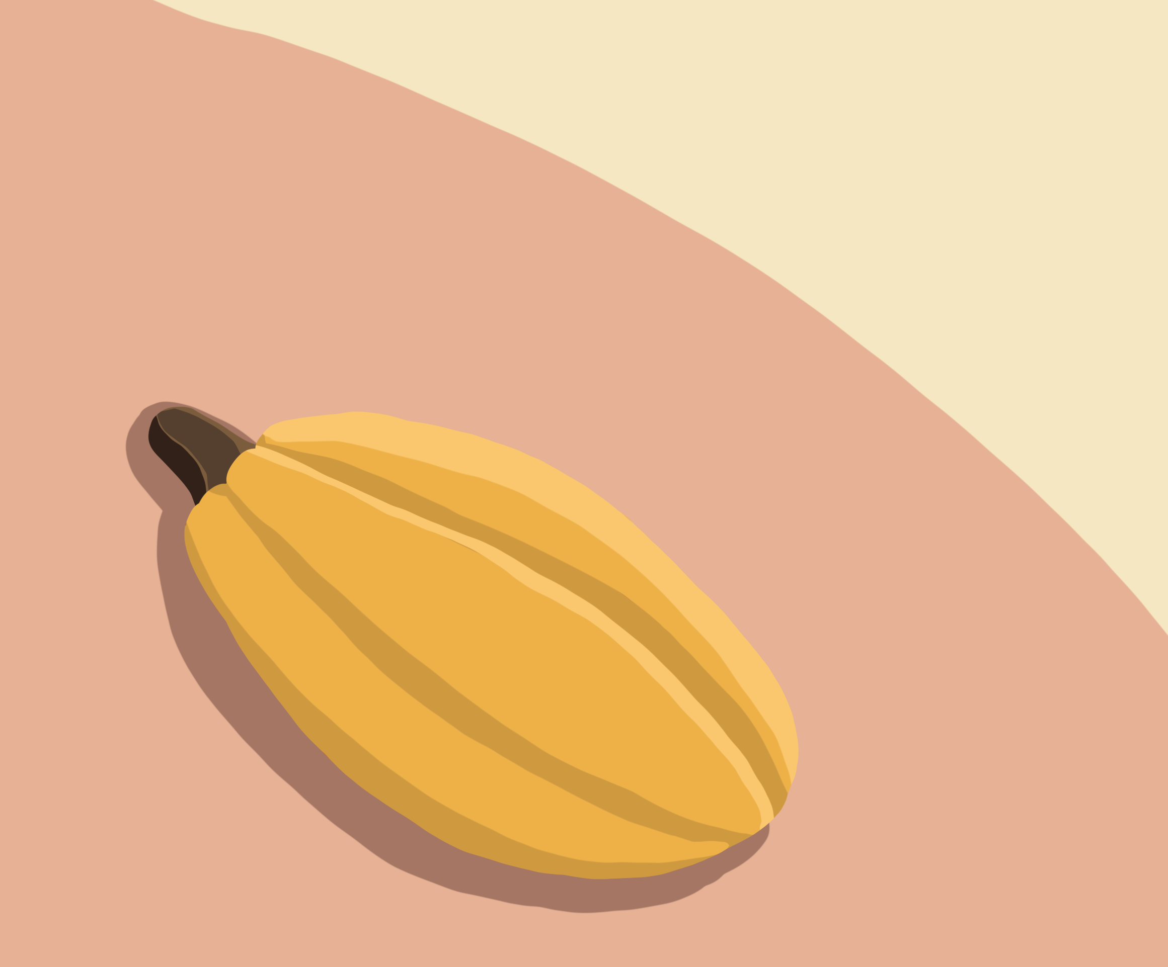 Completed illustration of a cacao pod
