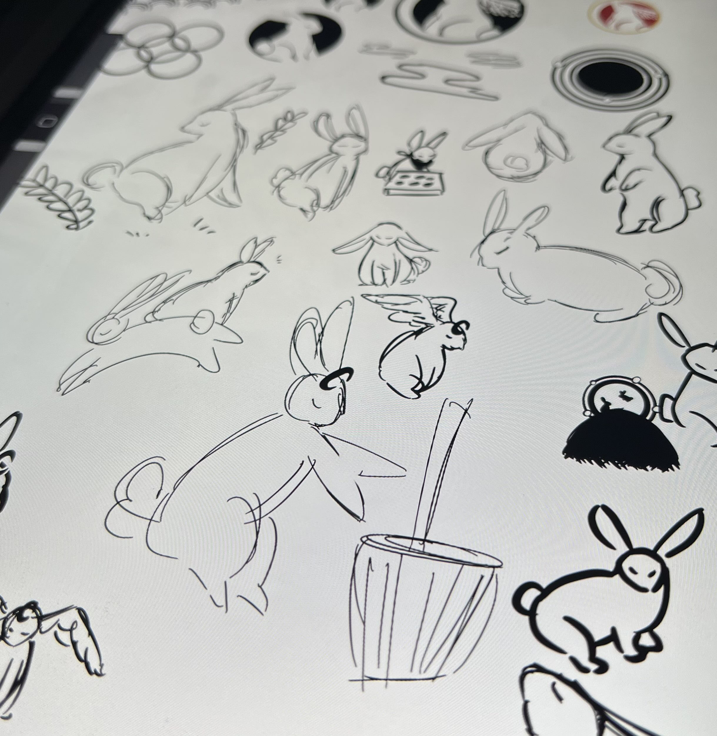 Brand Identity sketch of a lot of rabbits